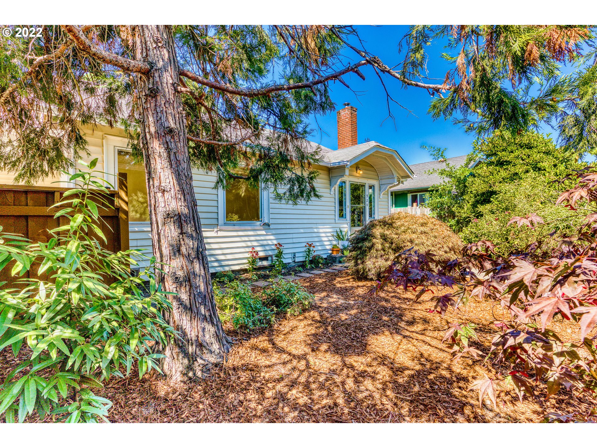 a view of a house with a plants and pathway