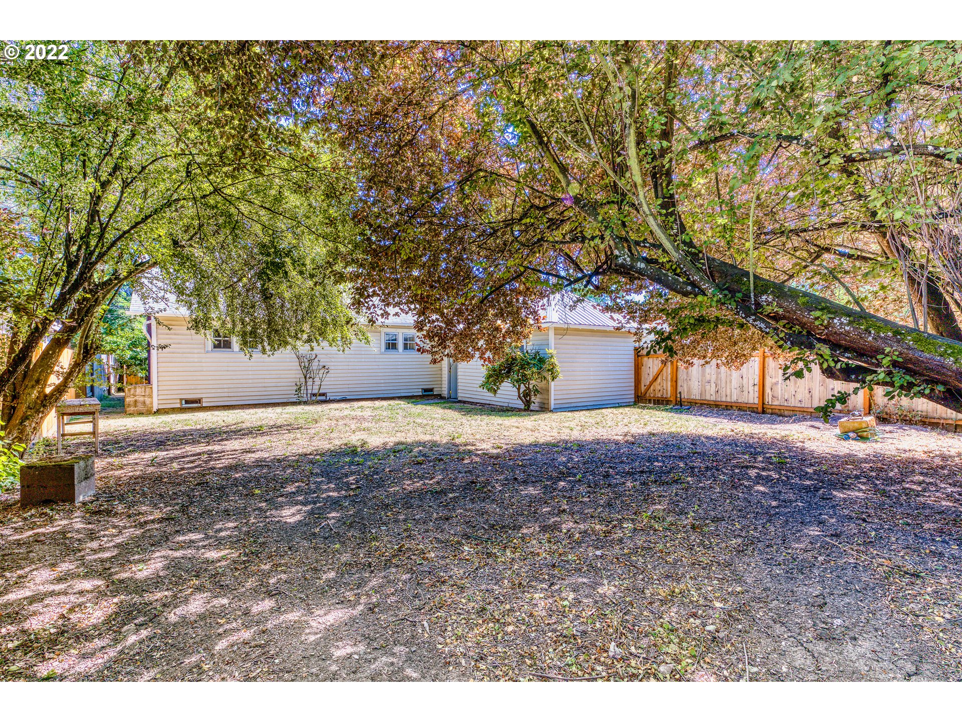 924 Chambers Street Eugene, OR 97402 - Photo 26 of 27 a view of a yard with plants and trees