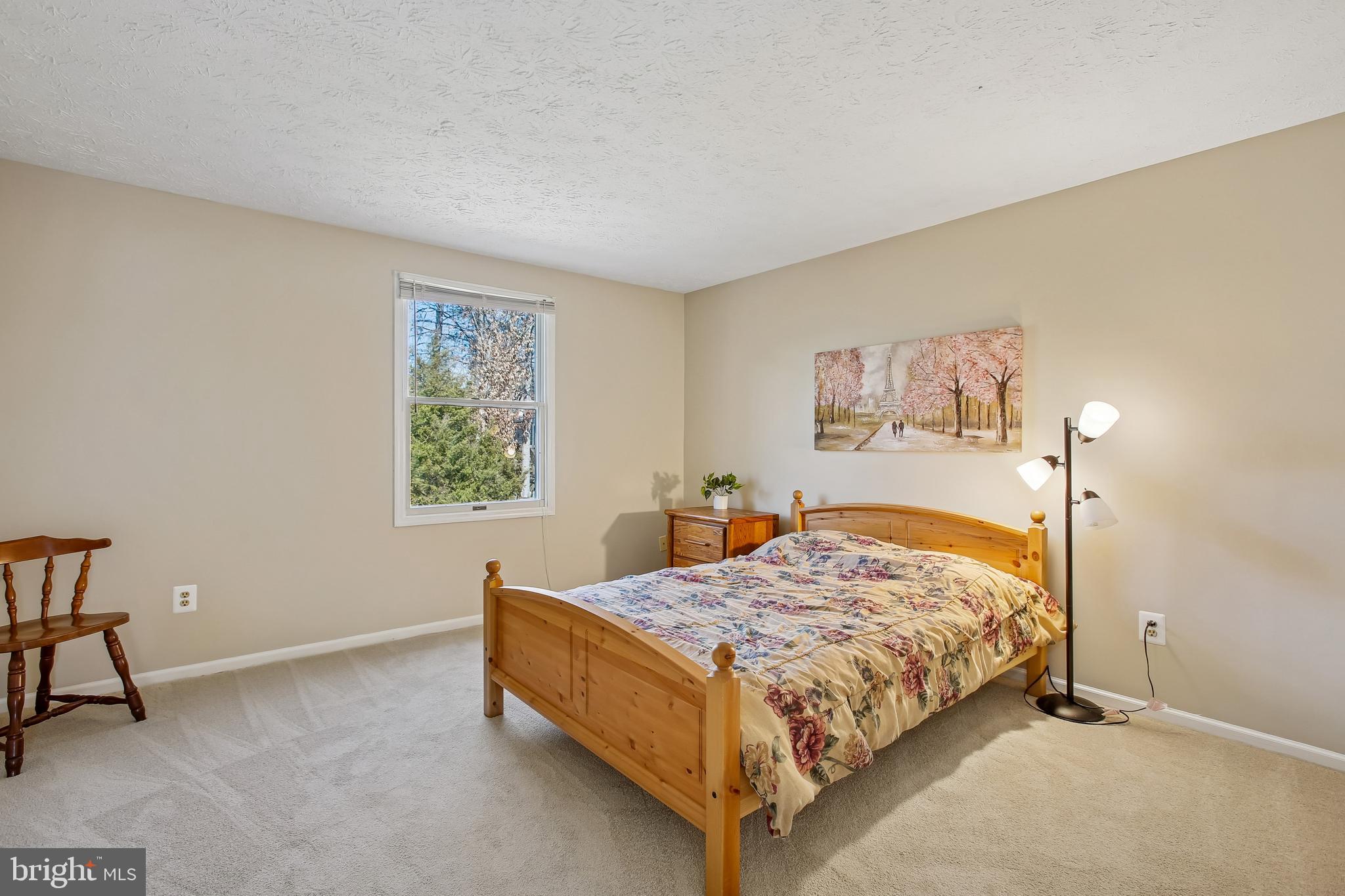 4566 Rincon Place Dumfries, VA 22025 - Photo 22 of 39 New carpet and fresh paint