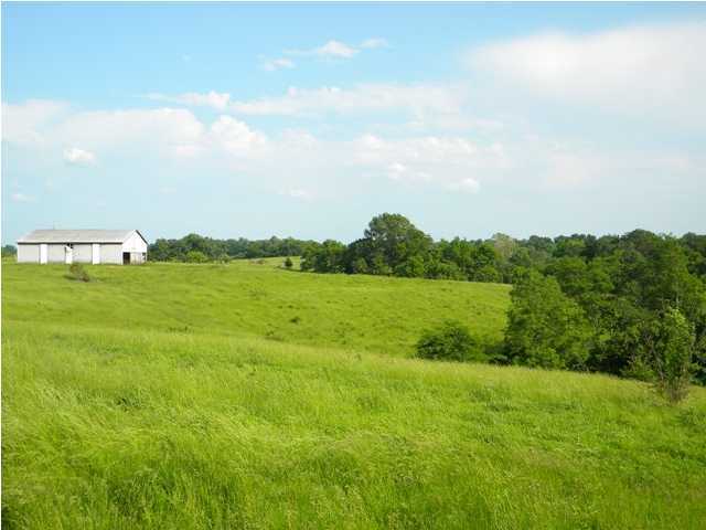 818 Martin Nethery Road, Unit 1B Waddy, KY 40076 - Photo 1 of 22 Primary Photo