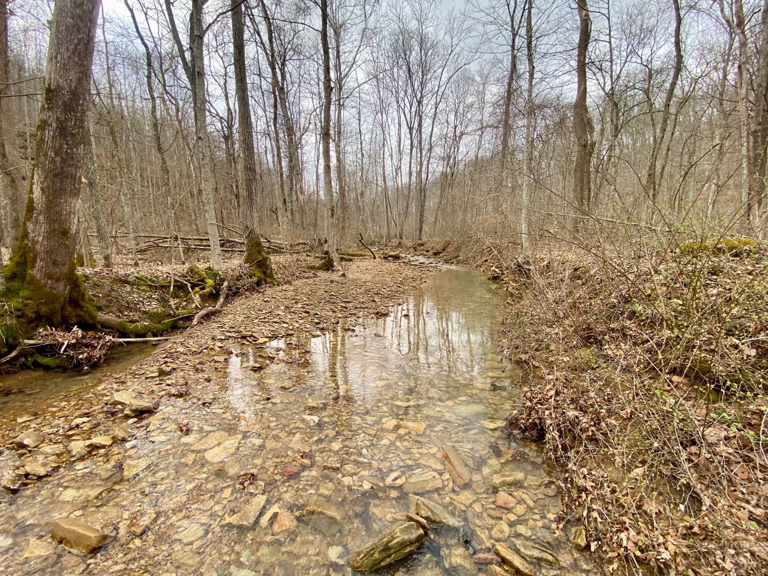 Ac Beech Fork Road Peebles, OH 45660 - Photo 6 of 49