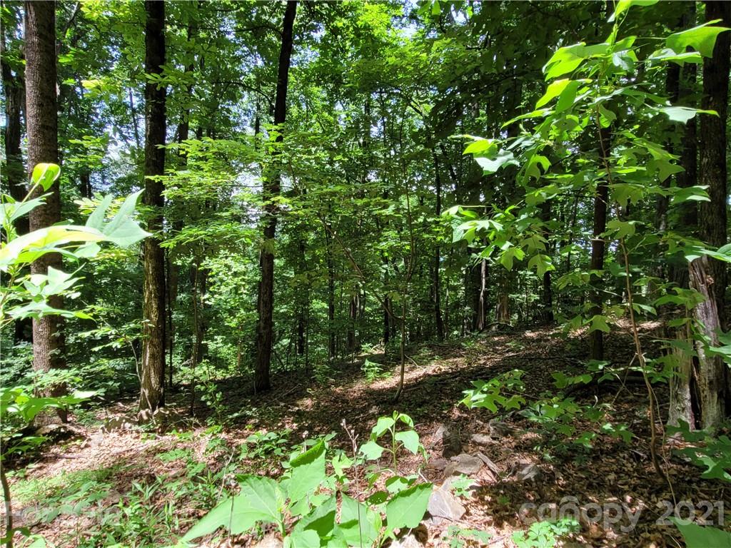 Track #2 Track, Unit 2 Saluda, NC 28773 - Photo 11 of 15 Gallery Image 11