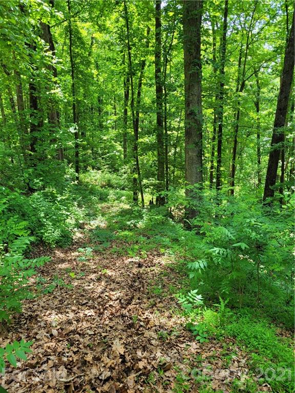 Track #2 Track, Unit 2 Saluda, NC 28773 - Photo 8 of 15 Gallery Image 8