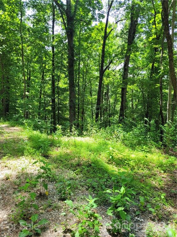 Track #2 Track, Unit 2 Saluda, NC 28773 - Photo 9 of 15 Gallery Image 9