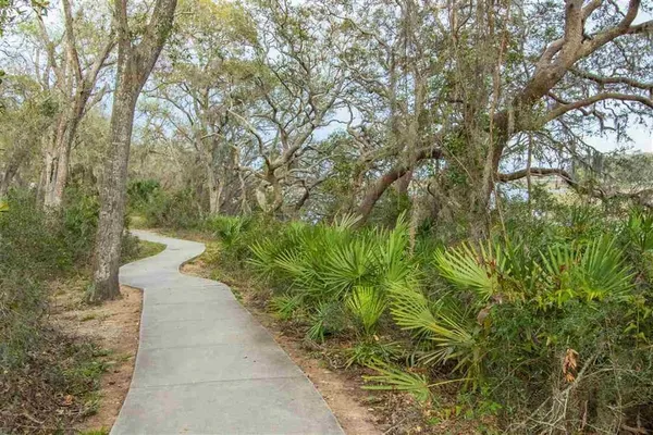 a view of a pathway both side of yard