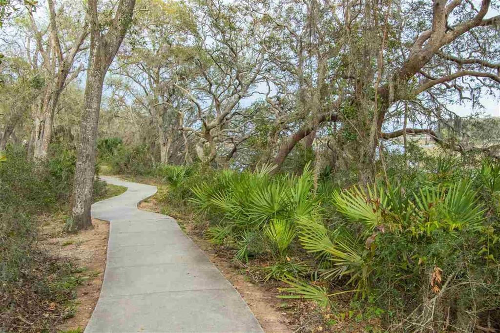 114 Lobelia Road St. Augustine, FL 32086 - Photo 29 of 38 a view of a pathway both side of yard
