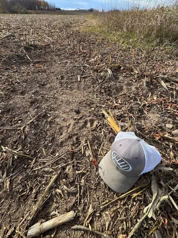 $149,900 | 409 South Morrison Road, West Branch, MI 48661