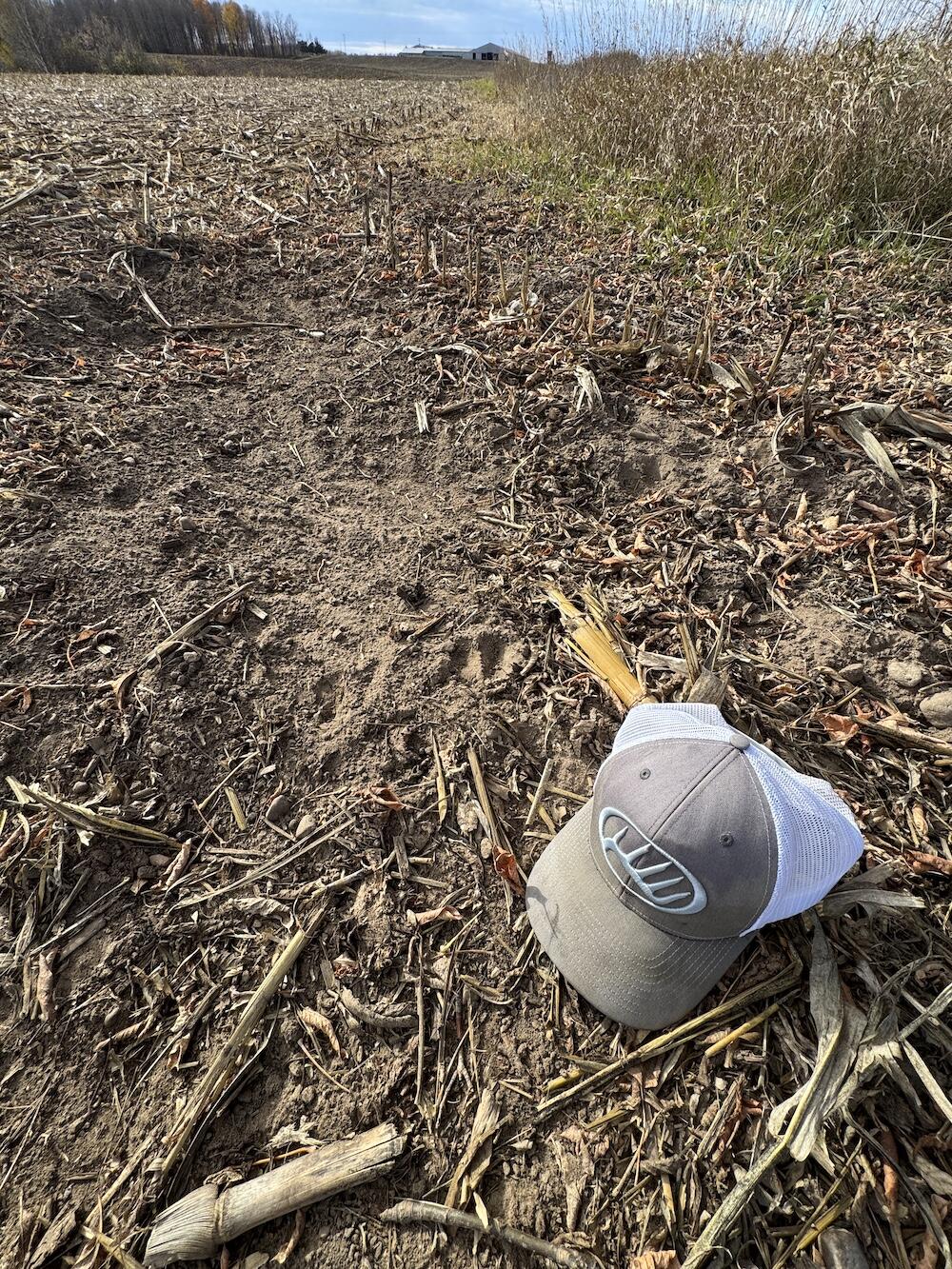 409 South Morrison Road West Branch, MI 48661 - Photo 11 of 27 IMG_7111