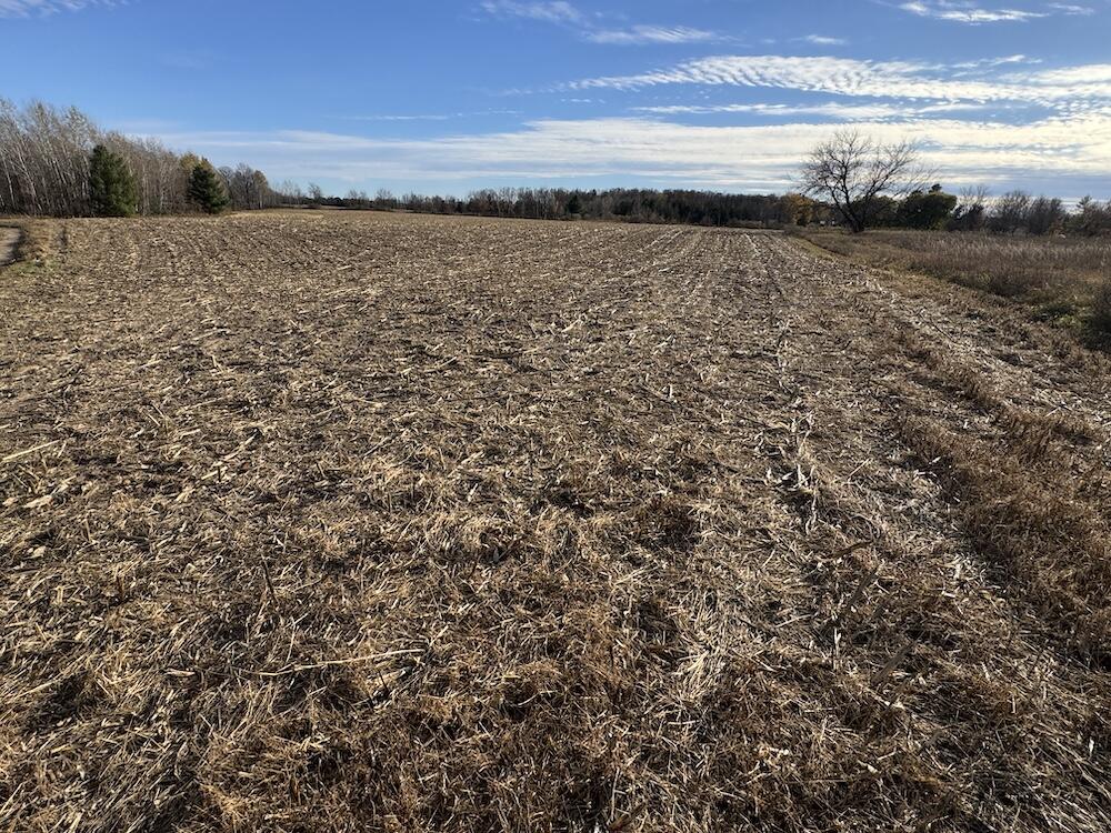 409 South Morrison Road West Branch, MI 48661 - Photo 20 of 27 IMG_7122