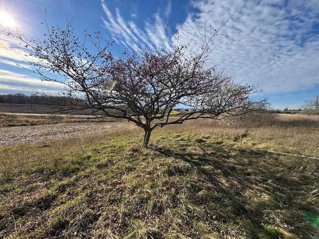 $149,900 | 409 South Morrison Road, West Branch, MI 48661