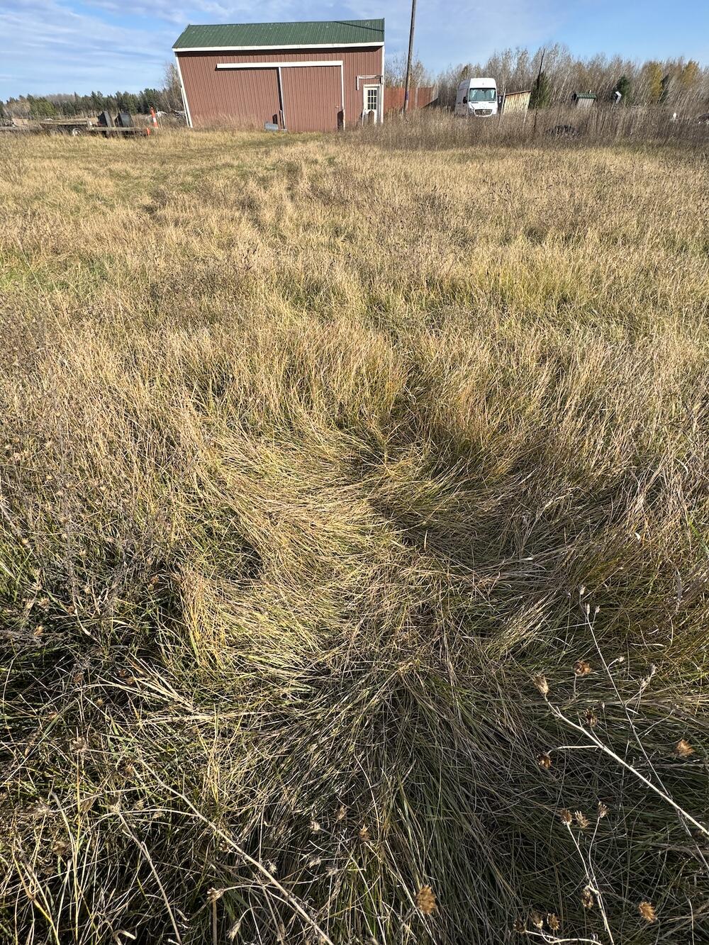 409 South Morrison Road West Branch, MI 48661 - Photo 25 of 27 IMG_7129