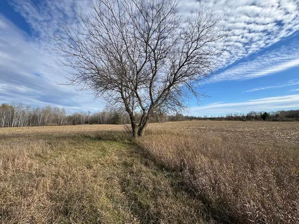 $139,900 | 409 South Morrison Road, West Branch, MI 48661