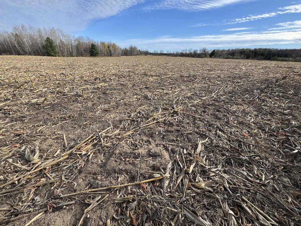 409 South Morrison Road West Branch, MI 48661 - Photo 4 of 27 IMG_7109