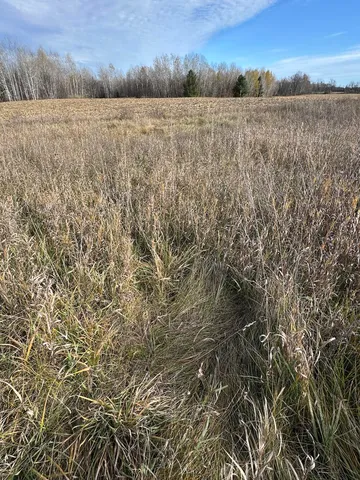 $149,900 | 409 South Morrison Road, West Branch, MI 48661