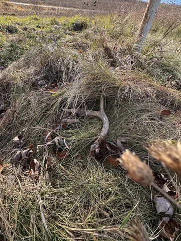 $149,900 | 409 South Morrison Road, West Branch, MI 48661