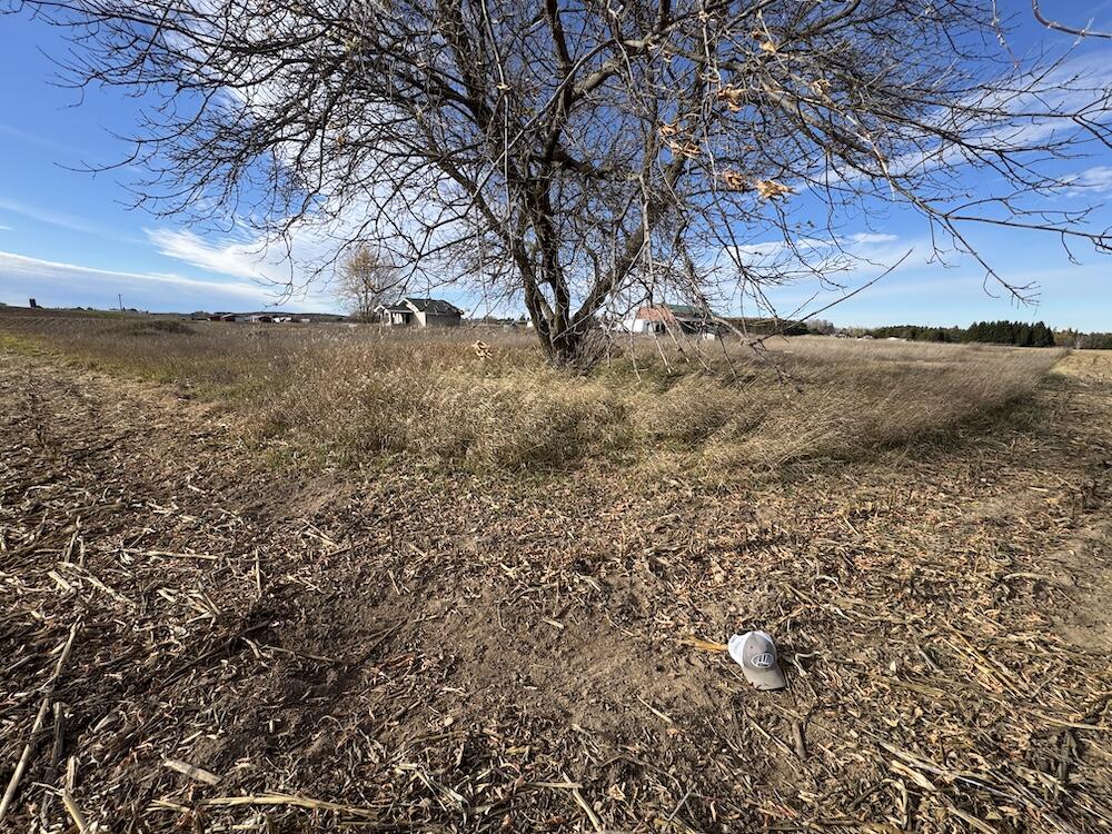 409 South Morrison Road West Branch, MI 48661 - Photo 10 of 27 IMG_7110