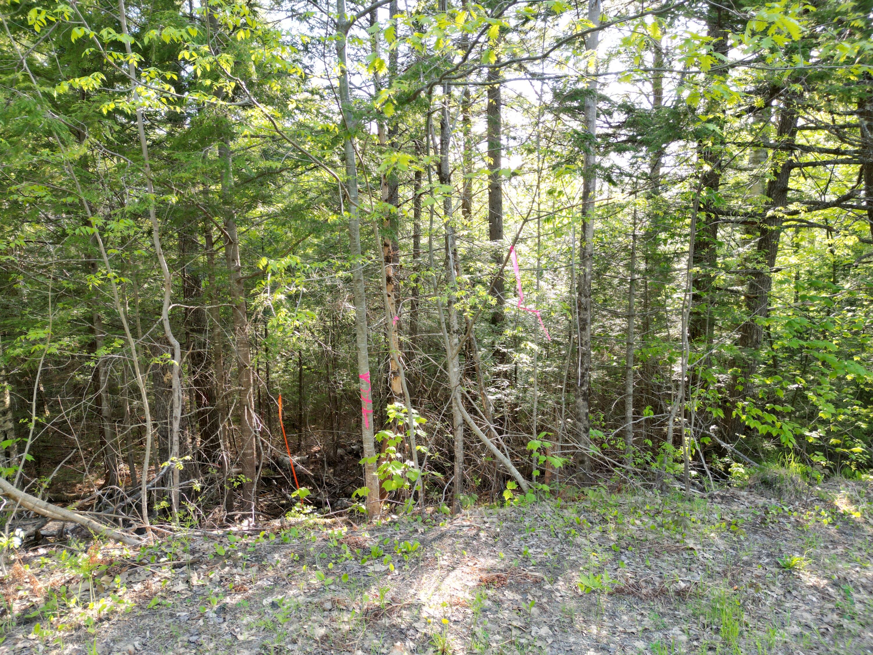 Lot 41-1 Bottle Lake Road Lakeville, ME 04487 - Photo 13 of 23 DJI_0612