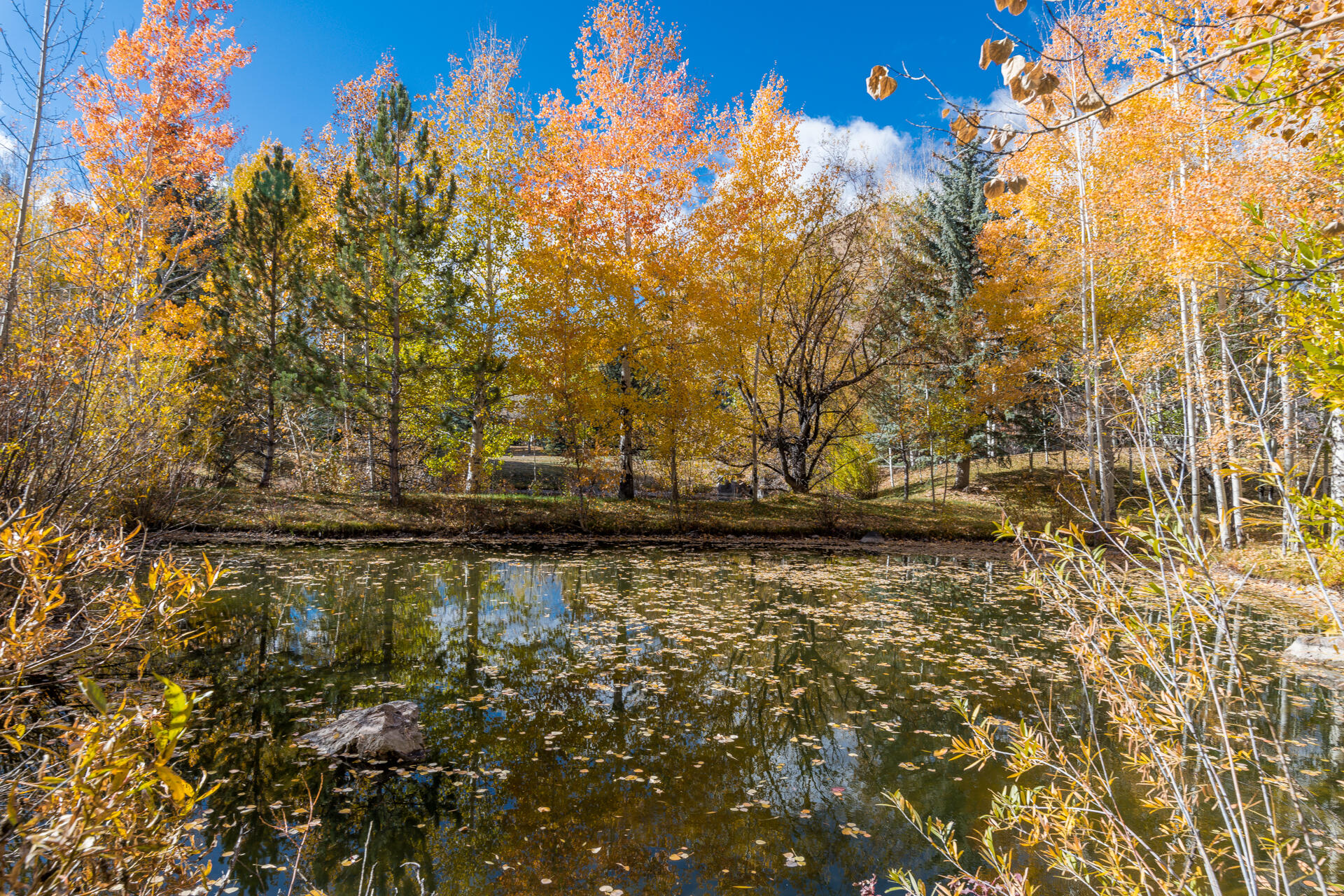 35 Greenhorn Road Blaine County, ID 83333 - Photo 41 of 55 One of the gorgeous ponds