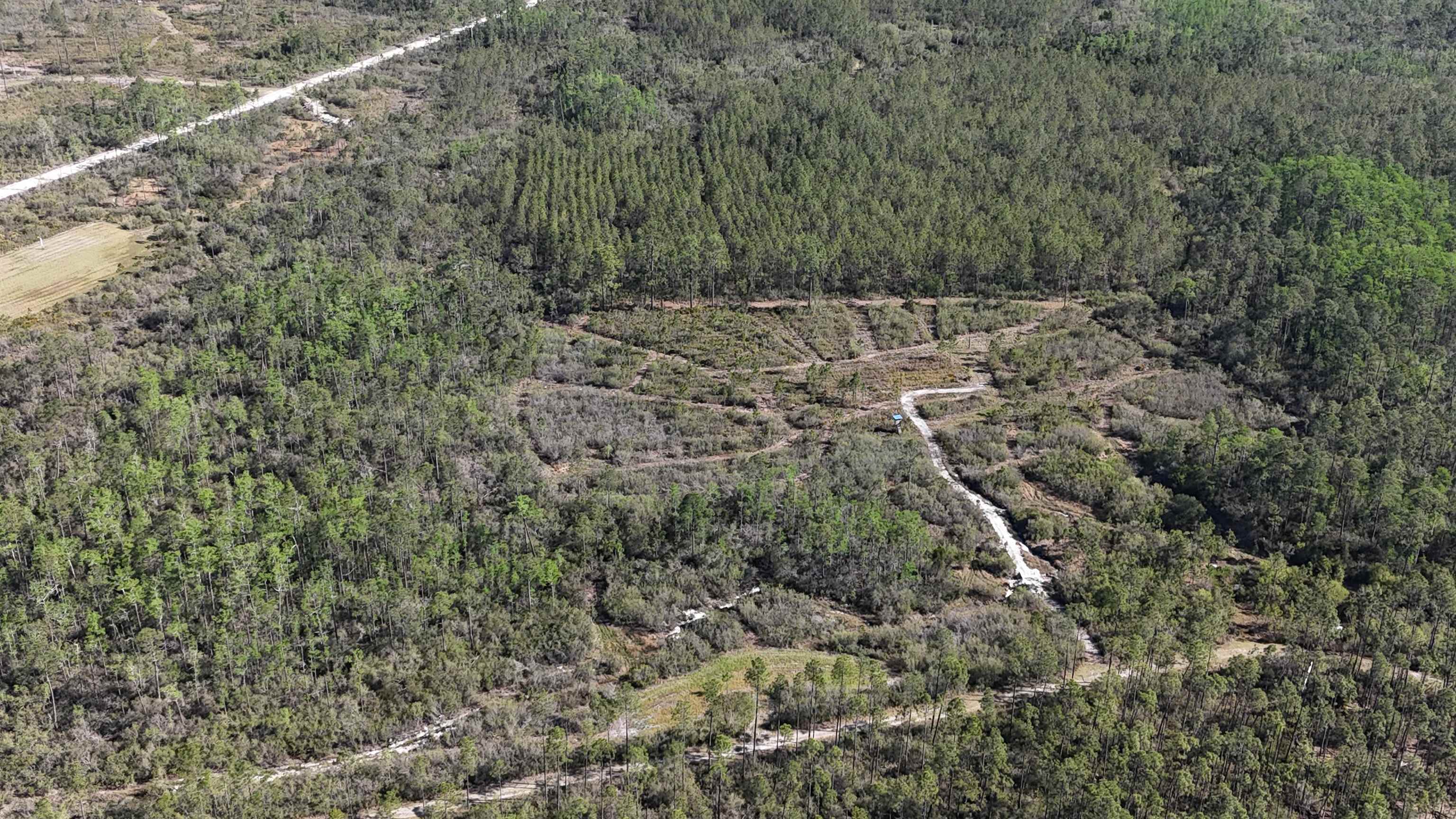 0 Madison Main Line Road Perry, FL 32347 - Photo 12 of 50