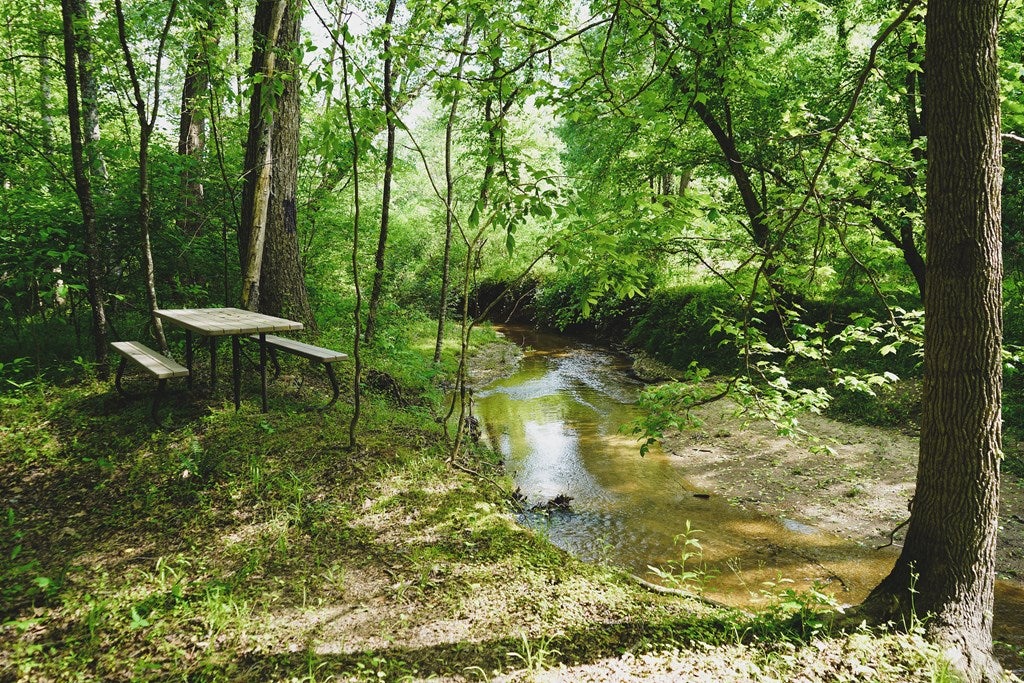 2944 Strawberry Road Chatham, VA 24531 - Photo 48 of 65 Gallery Image 48