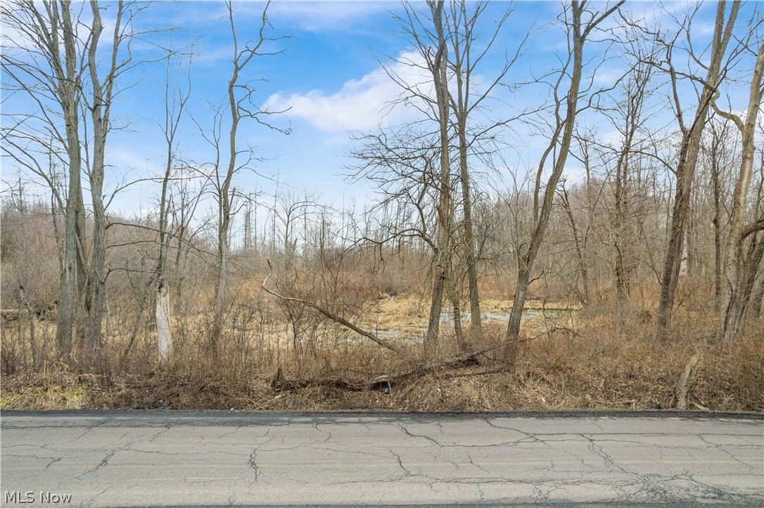 Lane Road Southwest Warren, OH 44481 - Photo 2 of 9 View of asphalt road