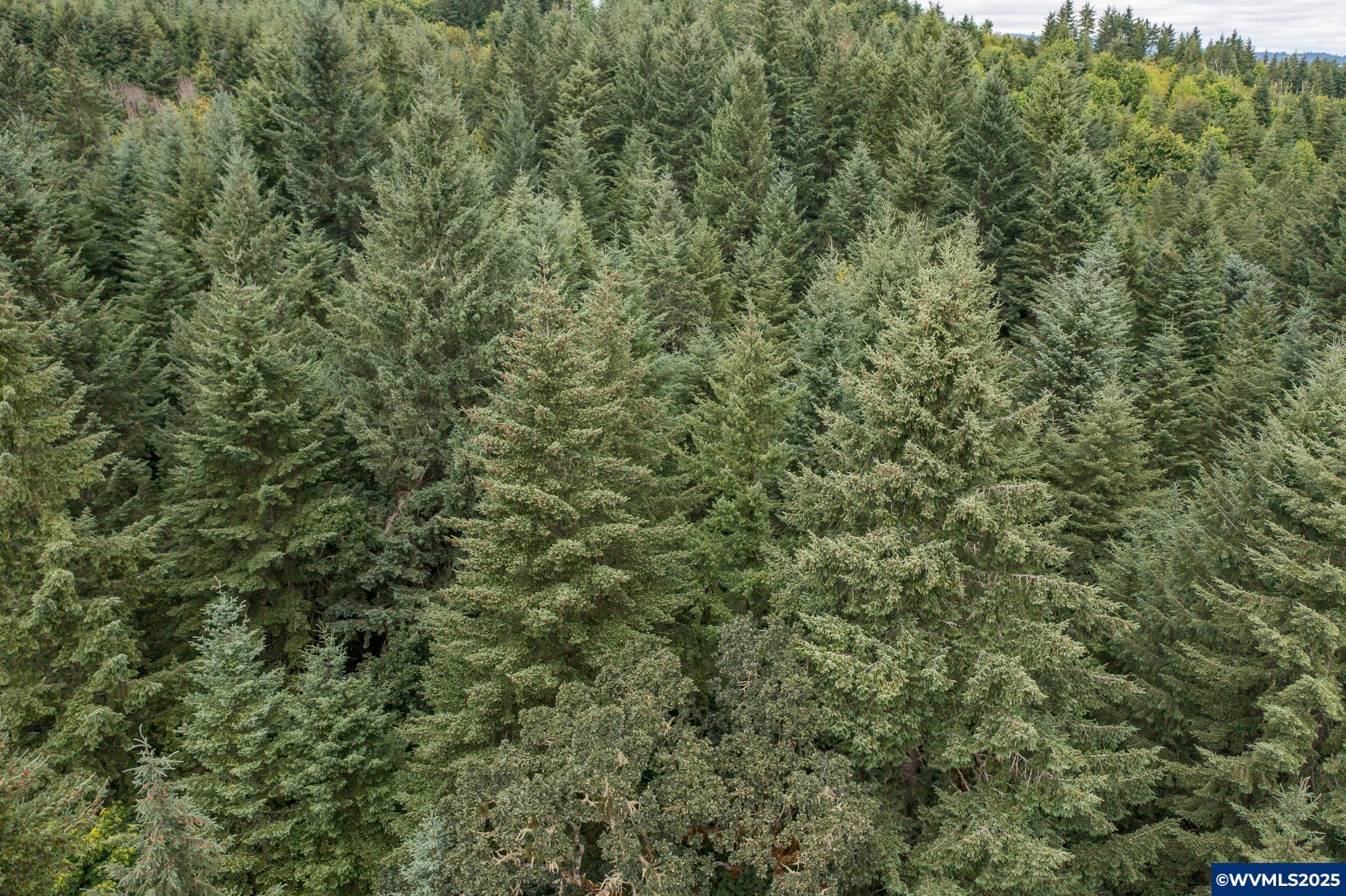 Mctimmonds Road Dallas, OR 97338 - Photo 16 of 20