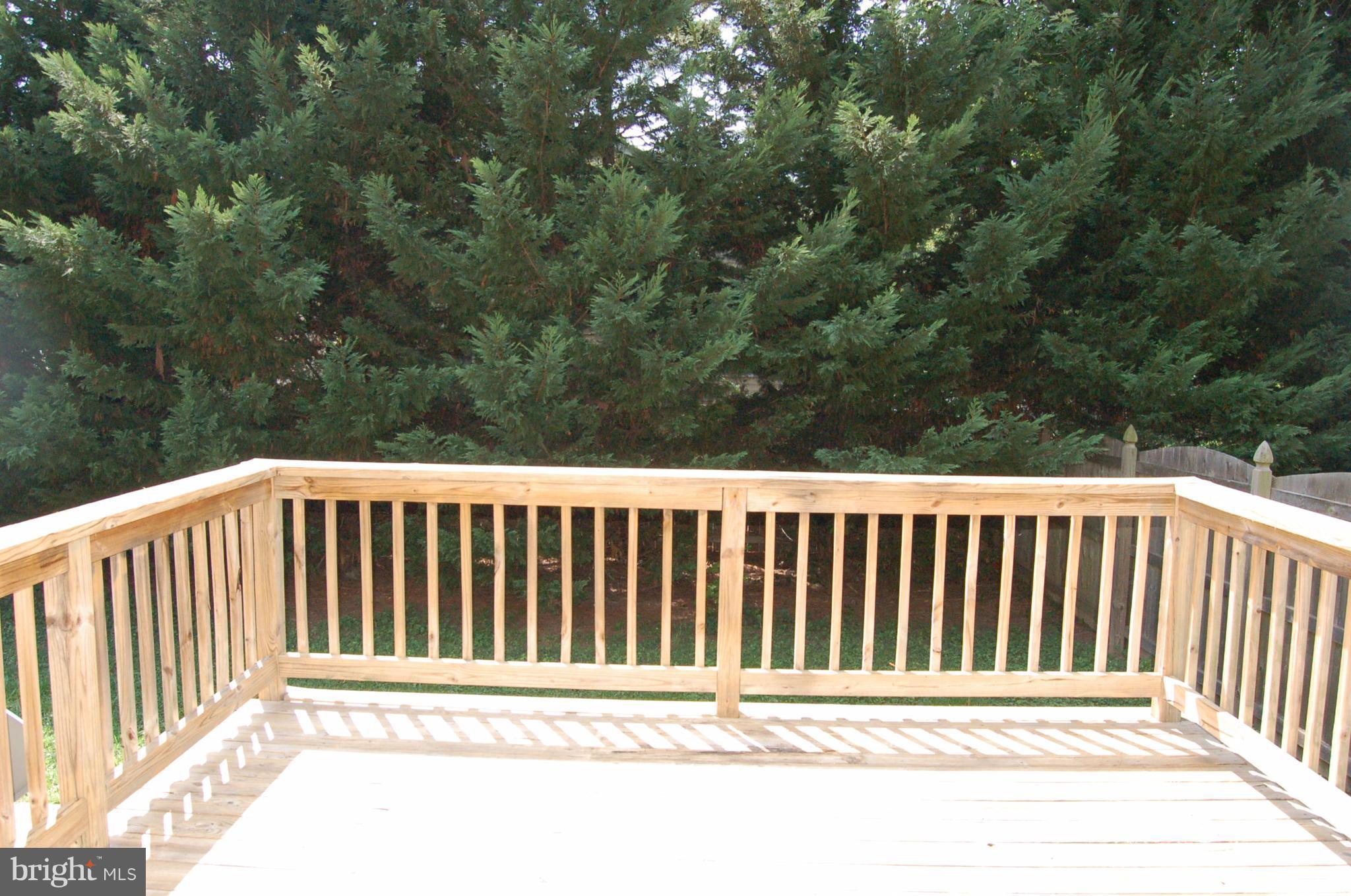7414 Station Road Newcomb, MD 21653 - Photo 12 of 30 Back Deck
