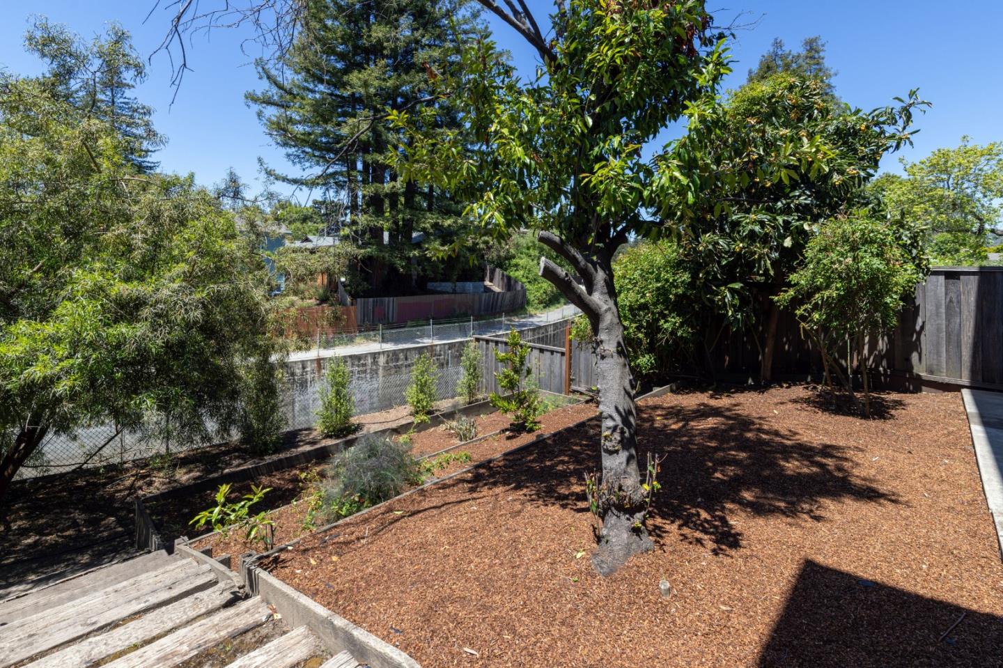 123 Reed Way Santa Cruz, CA 95060 - Photo 29 of 39 a view of a park with large trees