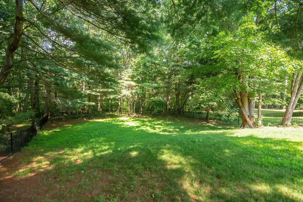 16 Walnut Hill Road Millis, MA 02054 - Photo 42 of 42 Gallery Image 42