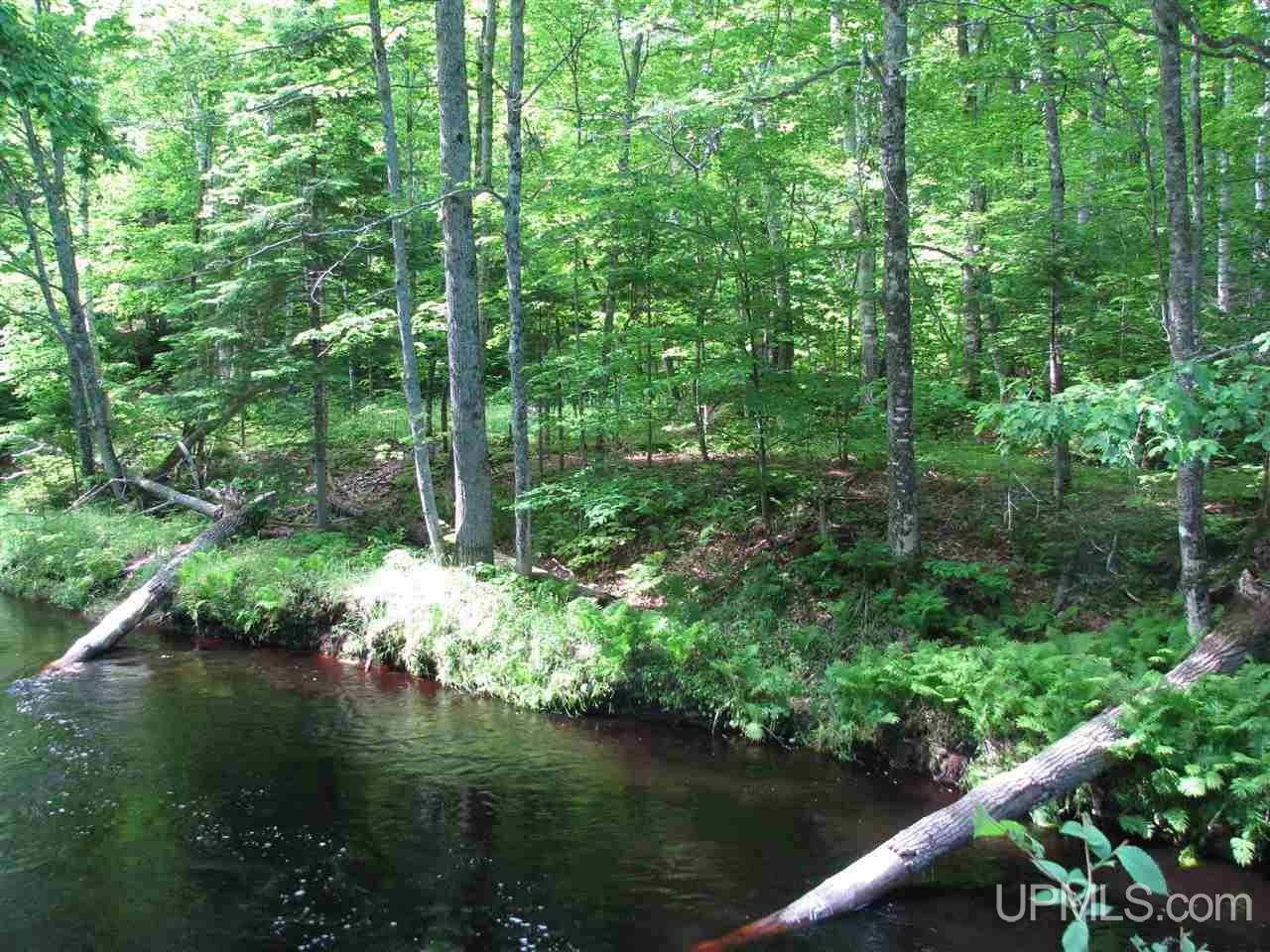 23928 East Co Road Newberry, MI 49868 - Photo 3 of 9
