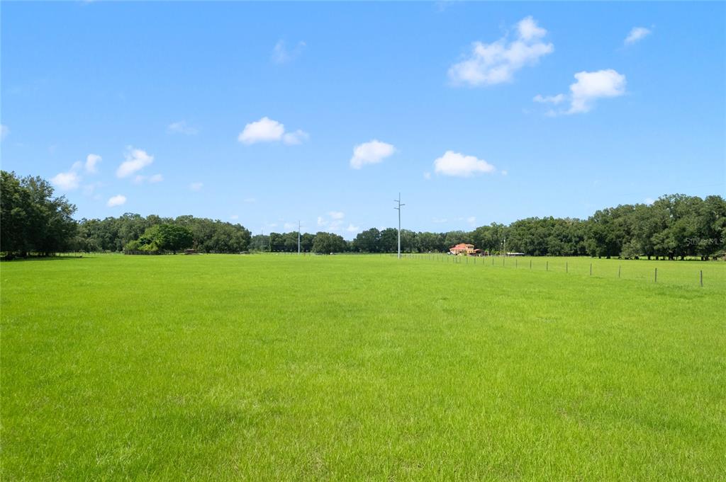 552 Cr Bushnell Bushnell, FL 33513 - Photo 20 of 21 a view of a big yard with a large tree and a table and chairs
