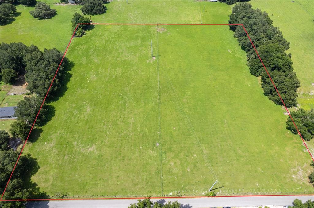 552 Cr Bushnell Bushnell, FL 33513 - Photo 4 of 21 a view of a yard with plants
