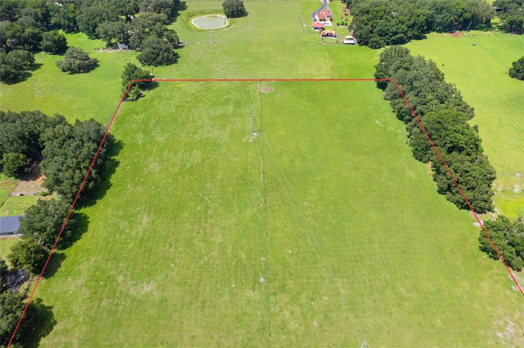 552 Cr Bushnell Bushnell, FL 33513 - Photo 5 of 21 a view of a yard with plants