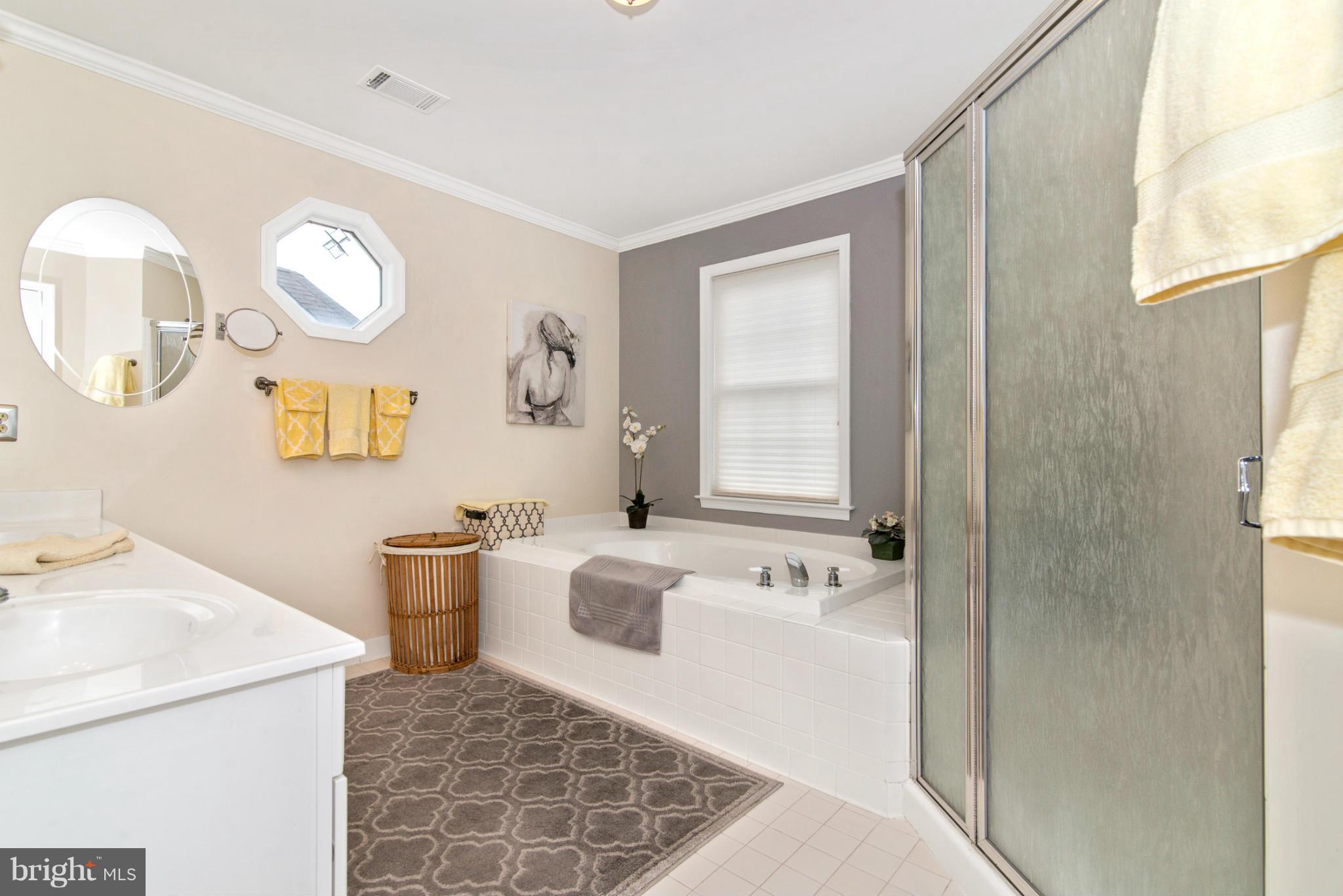 2519 Bear Den Road Frederick, MD 21701 - Photo 23 of 30 a bathroom with a tub sink and mirror