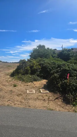a view of a yard covered with snow in outdoor space