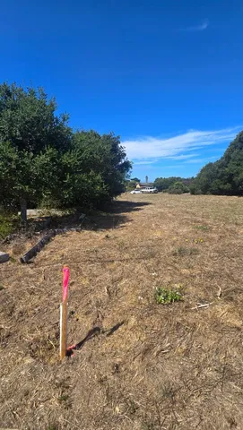 a view of a lake with a mountain in the background