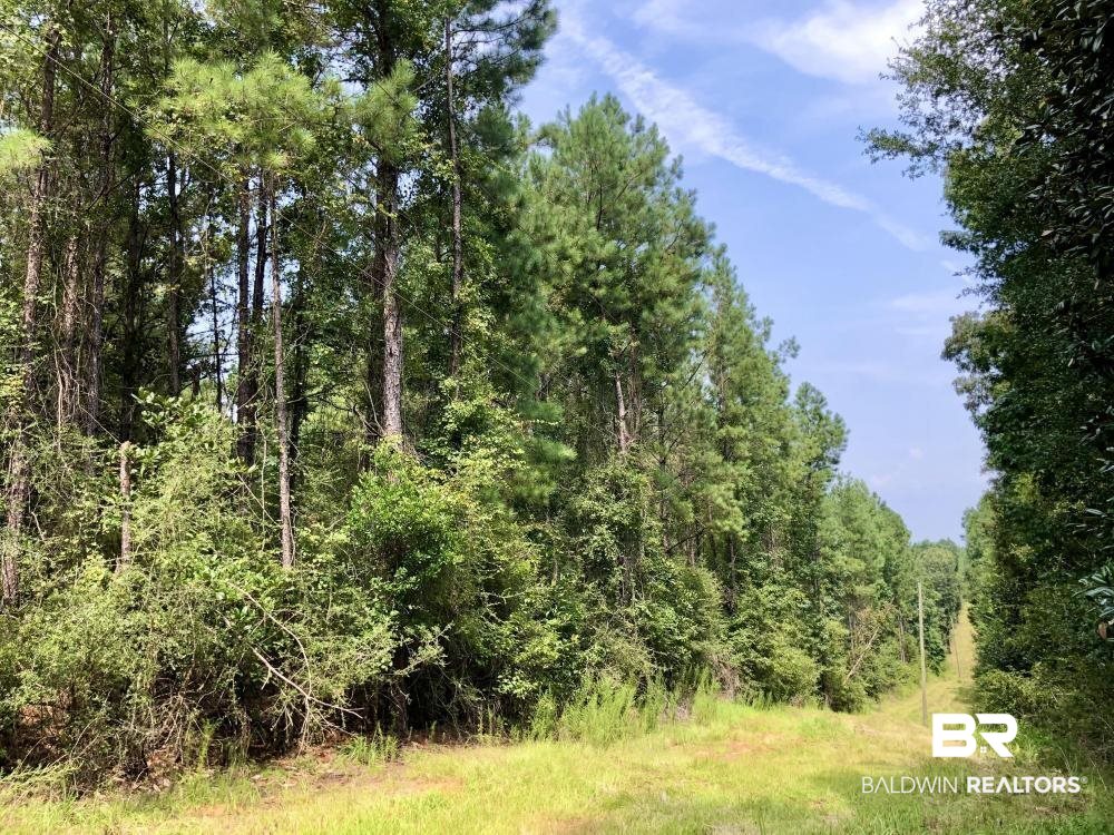 18560 Mason Street Citronelle, AL 36522 - Photo 12 of 45