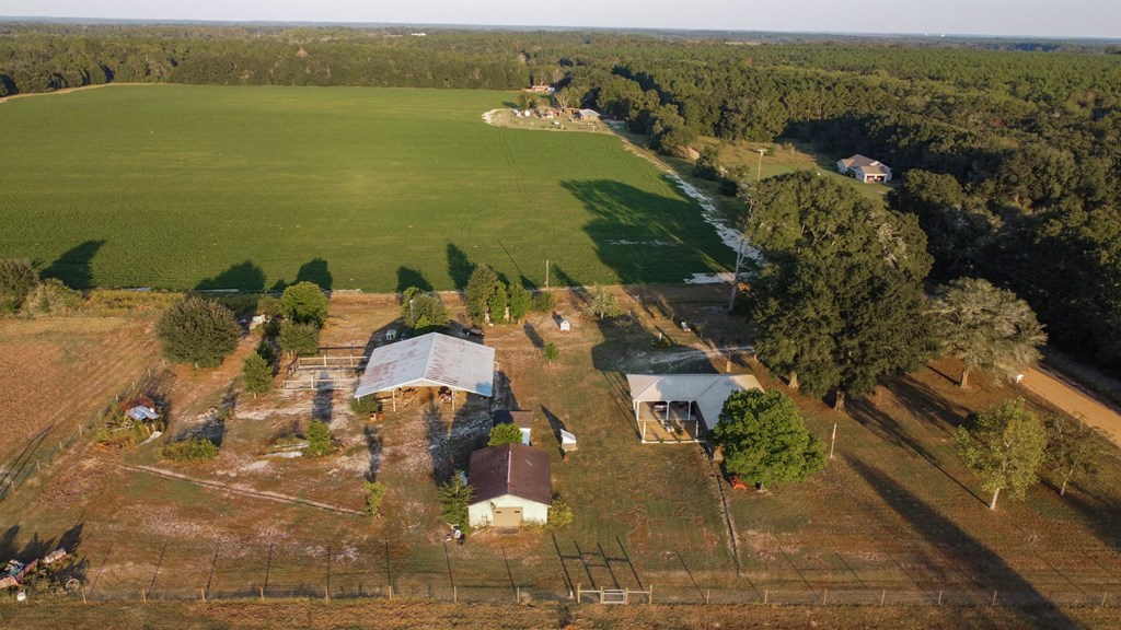 1178 Hornsby Road Samson, AL 36477 - Photo 28 of 29