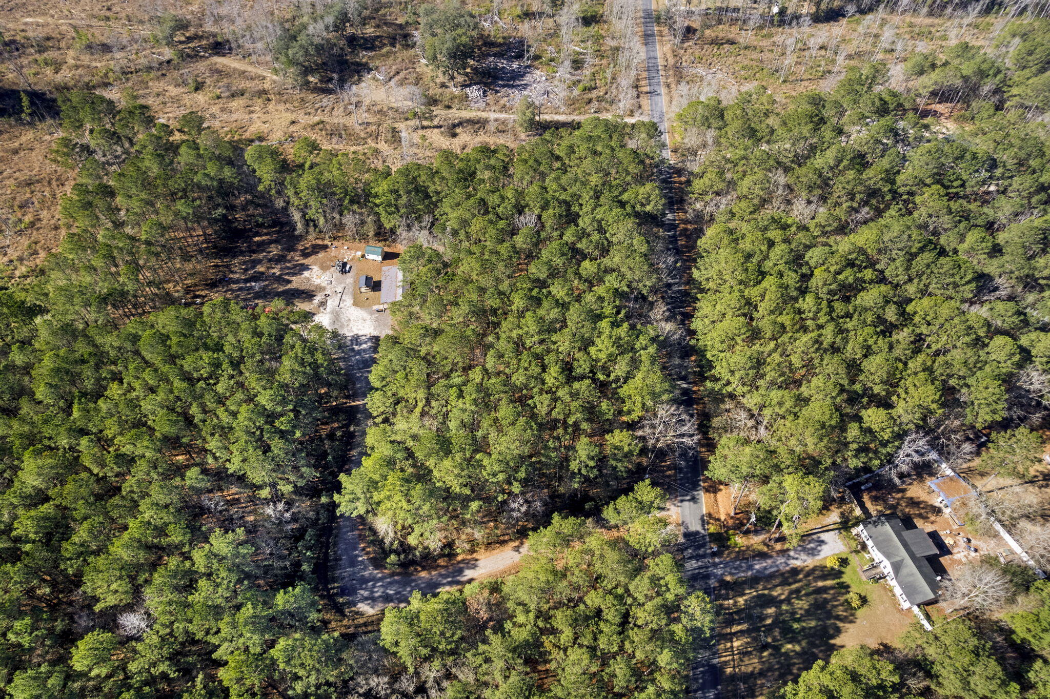 0 Yaremich Road Moncks Corner, SC 29461 - Photo 2 of 12 2-web-or-mls-IMG_9106
