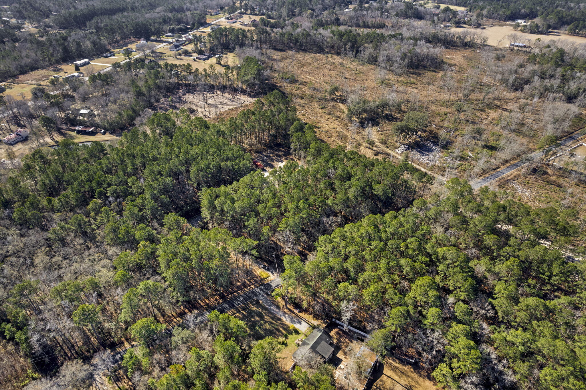 0 Yaremich Road Moncks Corner, SC 29461 - Photo 4 of 12 4-web-or-mls-IMG_9105