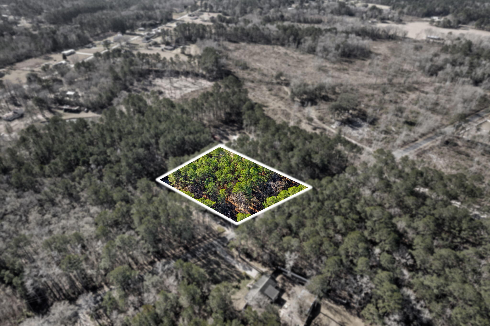 0 Yaremich Road Moncks Corner, SC 29461 - Photo 5 of 12 5-web-or-mls-IMG_9159