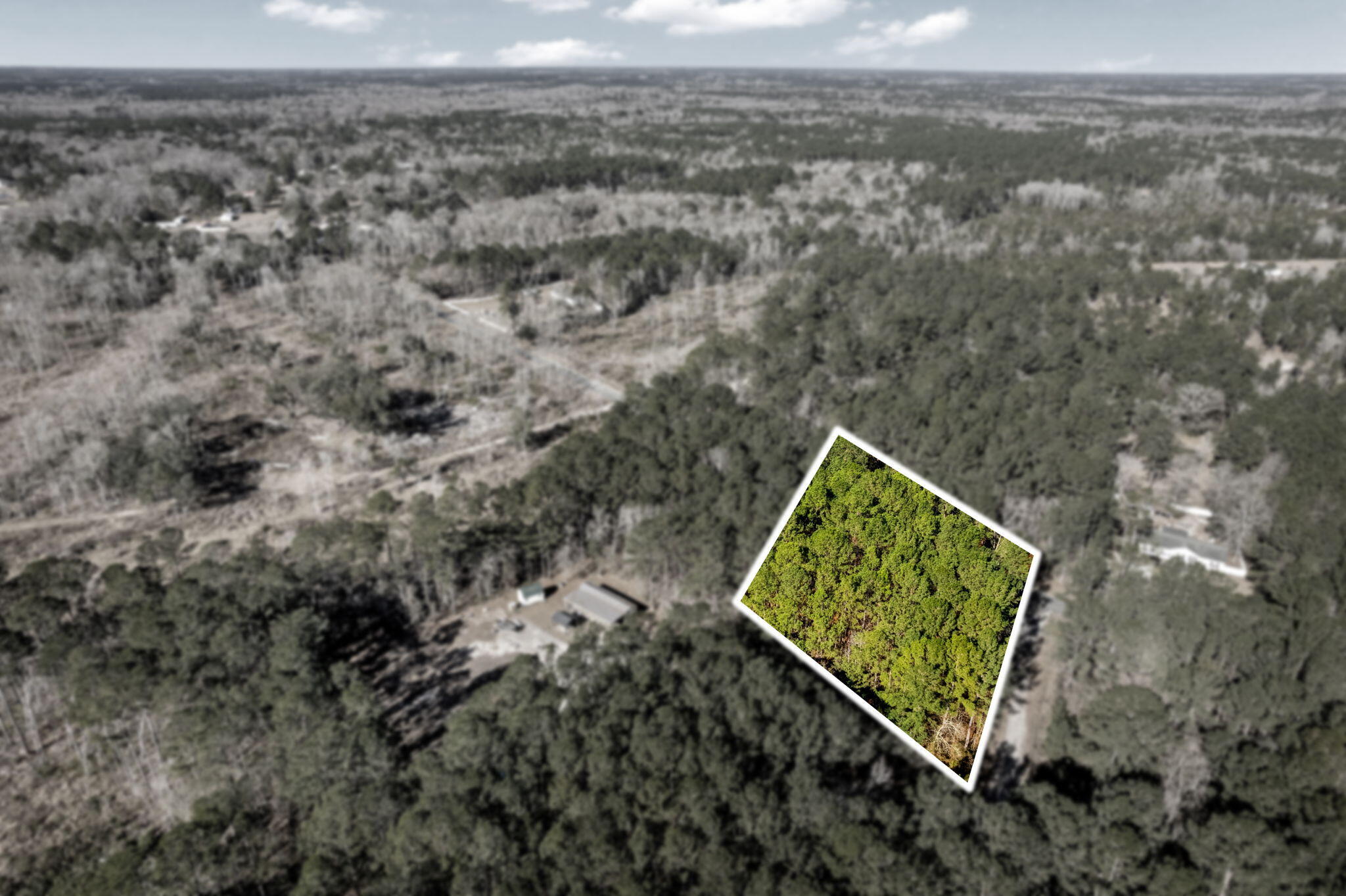 0 Yaremich Road Moncks Corner, SC 29461 - Photo 7 of 12 7-web-or-mls-IMG_9156