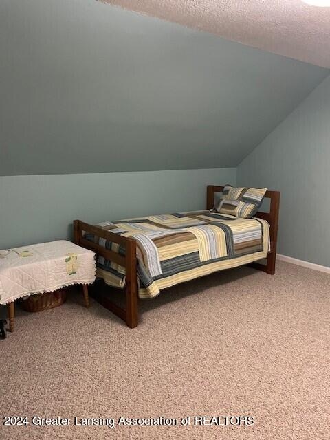 721 Wolverine Road Mason, MI 48854 - Photo 19 of 40 Wolverine