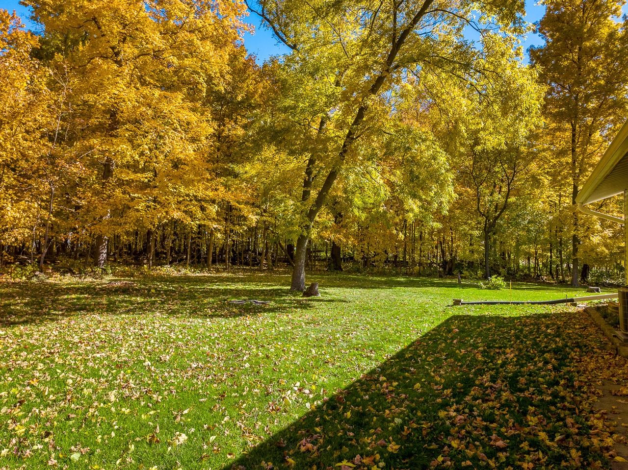 17097 Goodrich Road Davis, IL 61019 - Photo 44 of 45 a view of a golf course with a trees