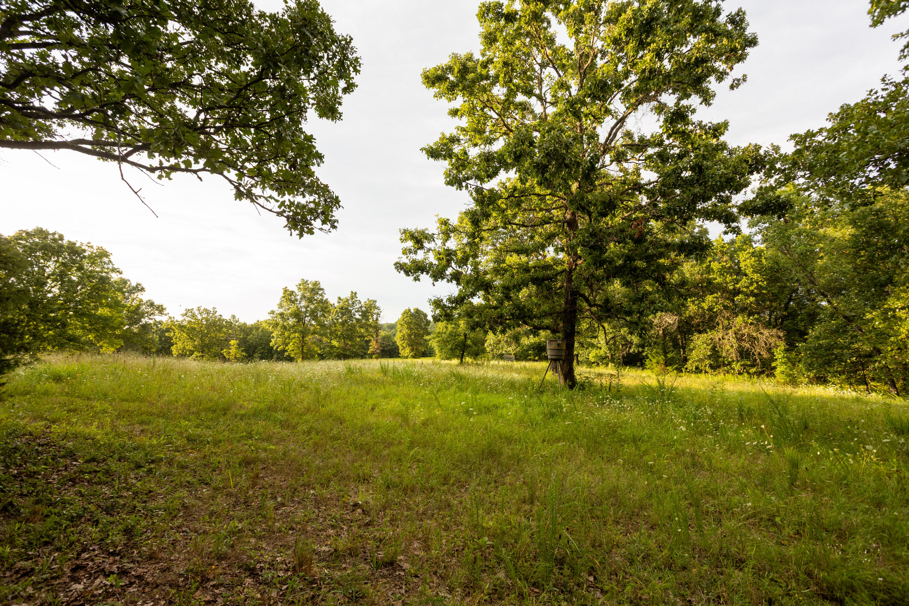 11995 Harvest Road Lebanon, MO 65536 - Photo 41 of 84 27
