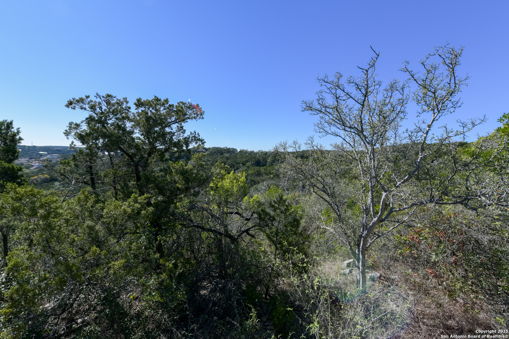 11266 Condor Pass Helotes, TX 78023 - Photo 4 of 7