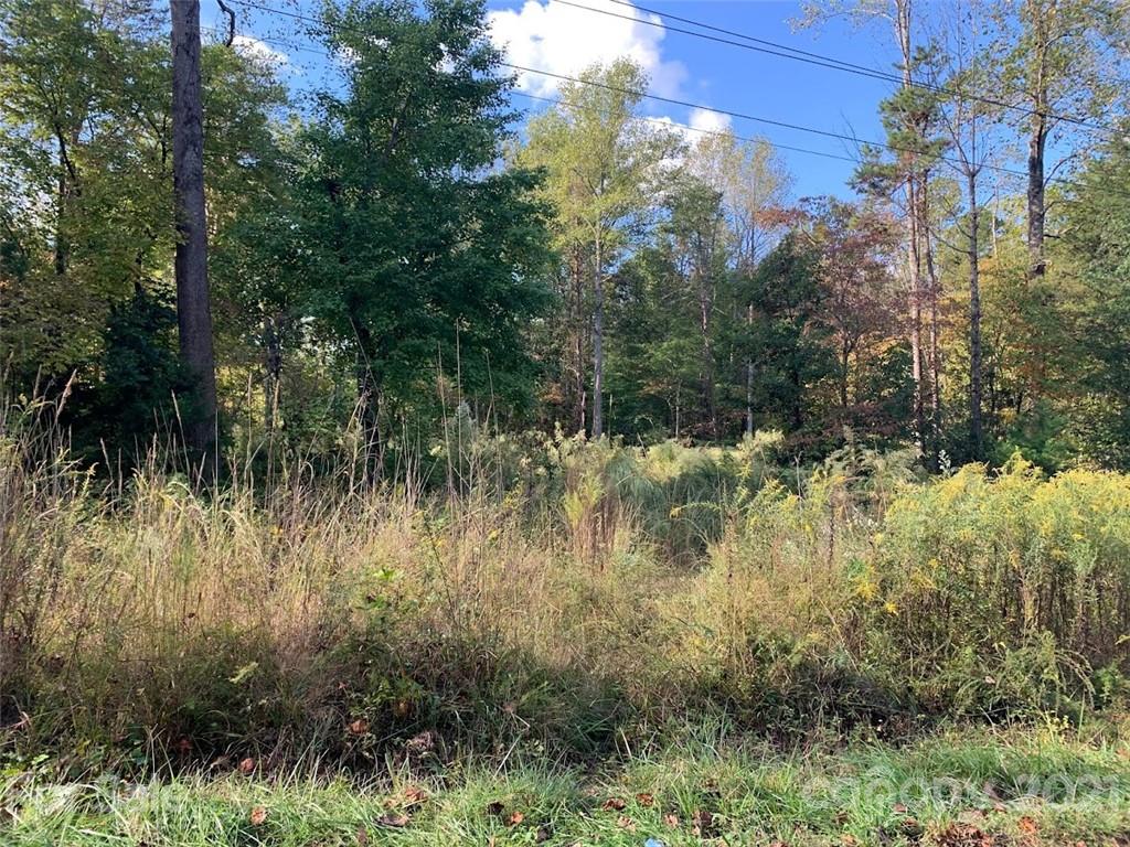 0 Bees Br Road Blacksburg, SC 29702 - Photo 2 of 12 a view of a lake and green valley