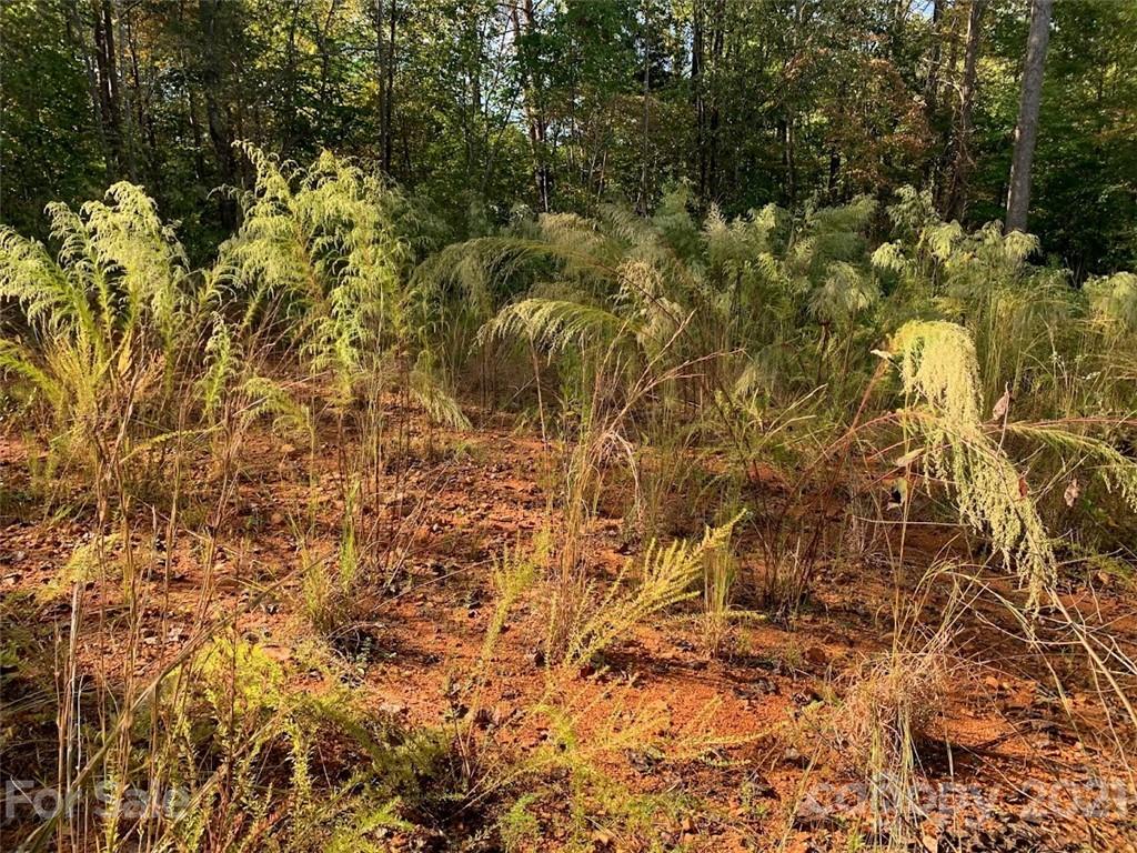 0 Bees Br Road Blacksburg, SC 29702 - Photo 3 of 12 a view of a yard