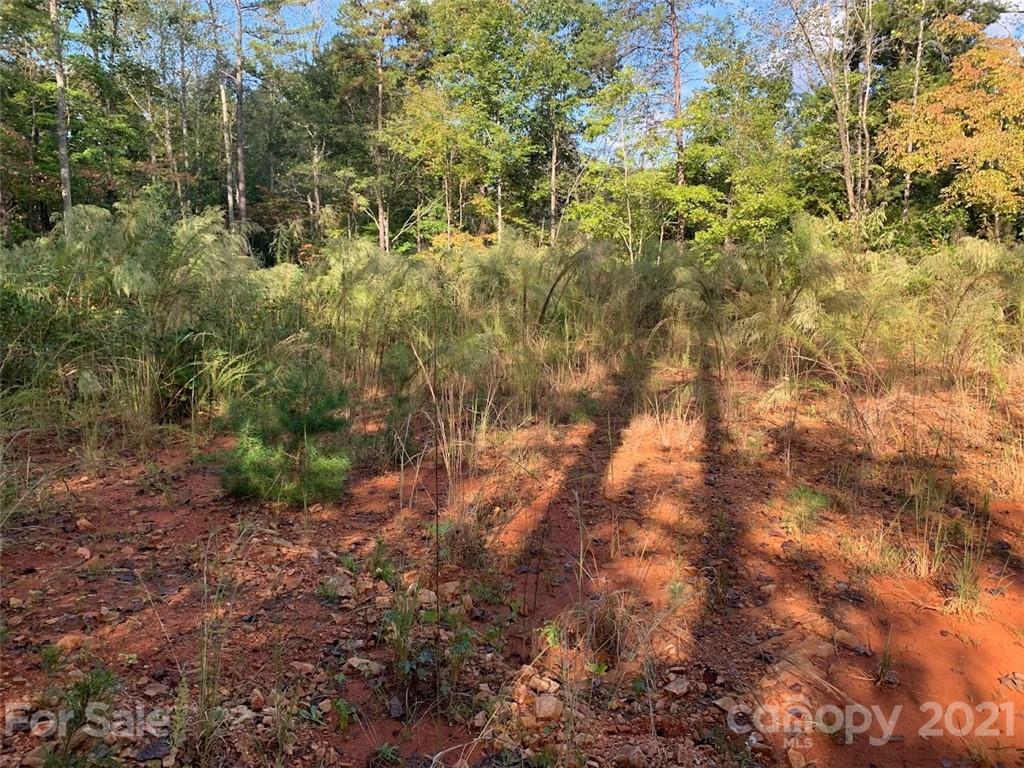 0 Bees Br Road Blacksburg, SC 29702 - Photo 4 of 12 a view of a yard with plants and large trees