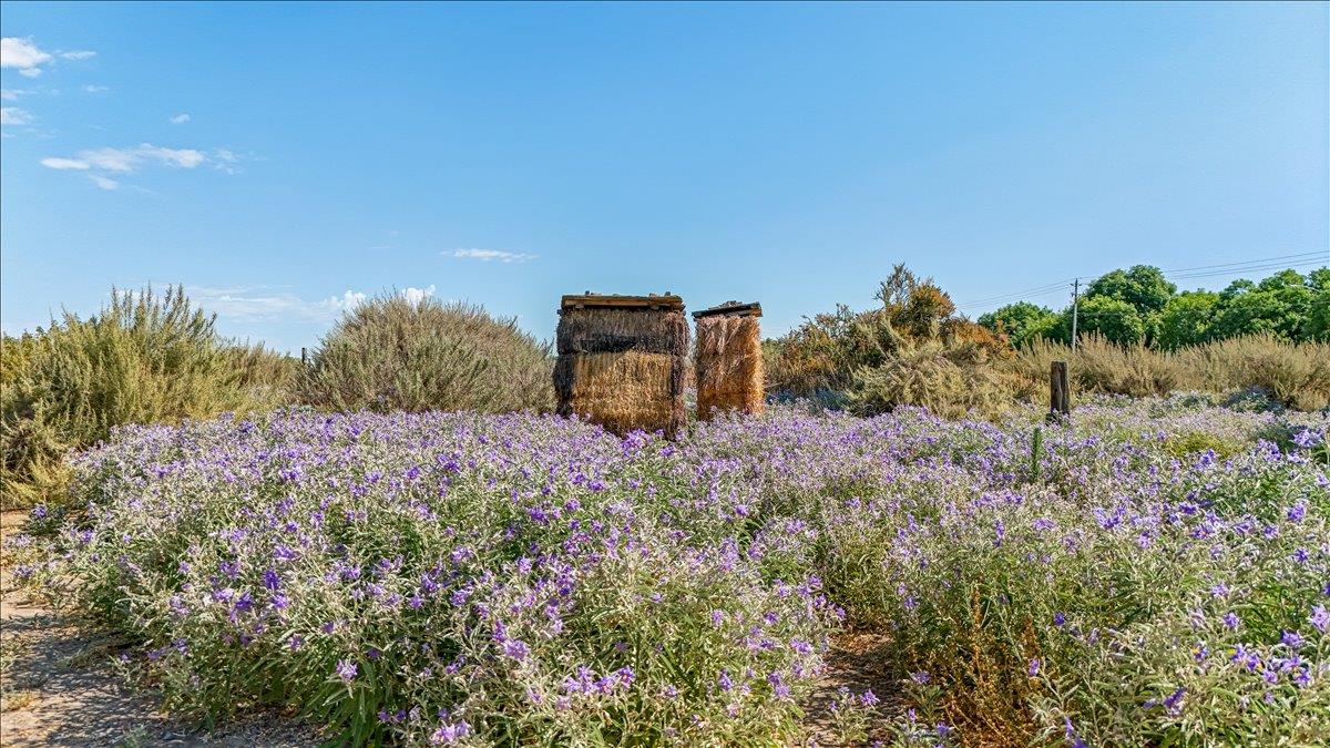 28937 Upper Road Newman, CA 95360 - Photo 43 of 58